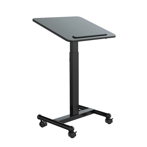 שולחן נייד מתכוונן לגובה עם הטייה Loctek MT303MT (1)