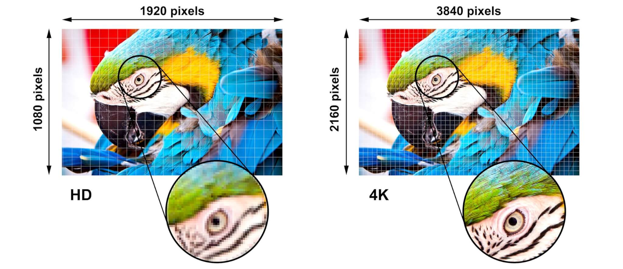 מסך אינטראקטיבי טאץ' אופטומה 65 אינץ' Optoma 3651RK 4K UHD Creative Touch 3 Series interactive flat panel display