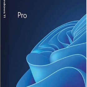 מערכת הפעלה וינדוס 11 בעברית Microsoft HAV-00164 Win11 Pro 64Bit Hebrew