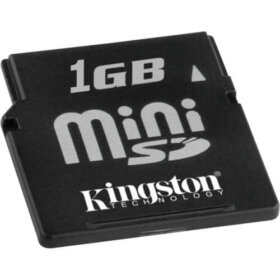 כרטיס זיכרון דיגיטלי מאובטח 1GB קינגסטון Kingston SDM1GB CompactFlash Card Flash Memory
