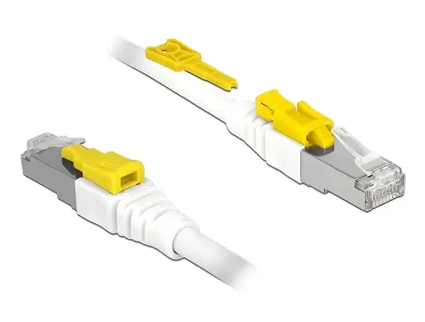 כבל רשת מאובטח RJ45 Cat.6A ז/ז DELOCK 85332
