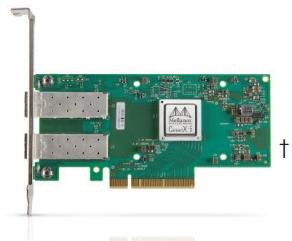 כרטיס ממשק רשת 100Gbps תומך בביצועים גבוהים NVIDIA | MCX512A-ACUT