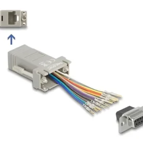 מעביר שקע D-Sub 9 Pin לשקע RJ50 נקבה DELOCK | 66472