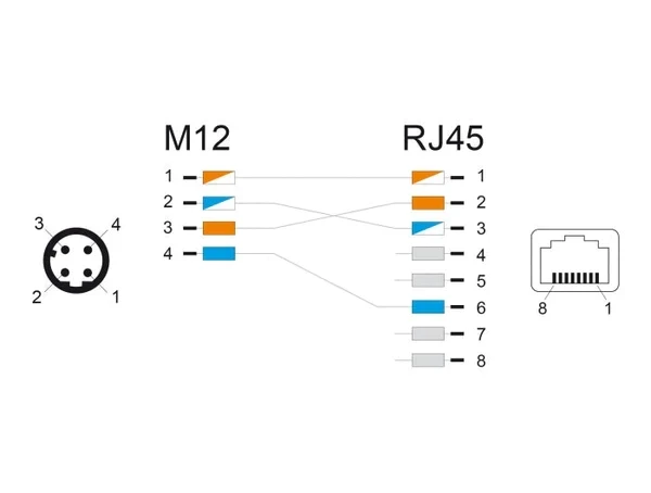 מתאם M12 Cat.5e תקע 4pin D-coded לשקע RJ45 אורך 50 ס"מ DELOCK | 60067