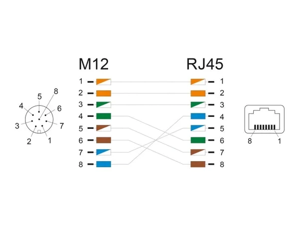 מתאם M12 Cat.6A שקע M12 A-coded 8 pin לשקע RJ45 ז/נ DELOCK | 60062