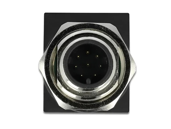 מתאם M12 Cat.6A תקע M12 8 pin A-coded לשקע RJ45 בזווית 90° ז/נ DELOCK | 66315