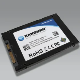 כונן פנימי מוצפן SATA מוסמך FIPS 140-2 בצבע שחור Kanguru | KSED300-SATA-2T