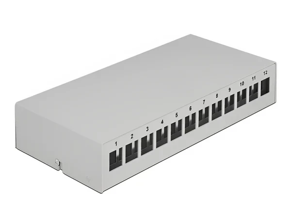 פאץ' פאנל 12 פורט ללא שקעים DIN rail mounting בצבע אפור DELOCK | 43414