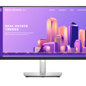 מסך מחשב בגודל 23.8" אינץ' דל בצבע שחור DELL | DLMOP2422H | Monitor | IPS/VGA/DP/HDMI - 60.5cm