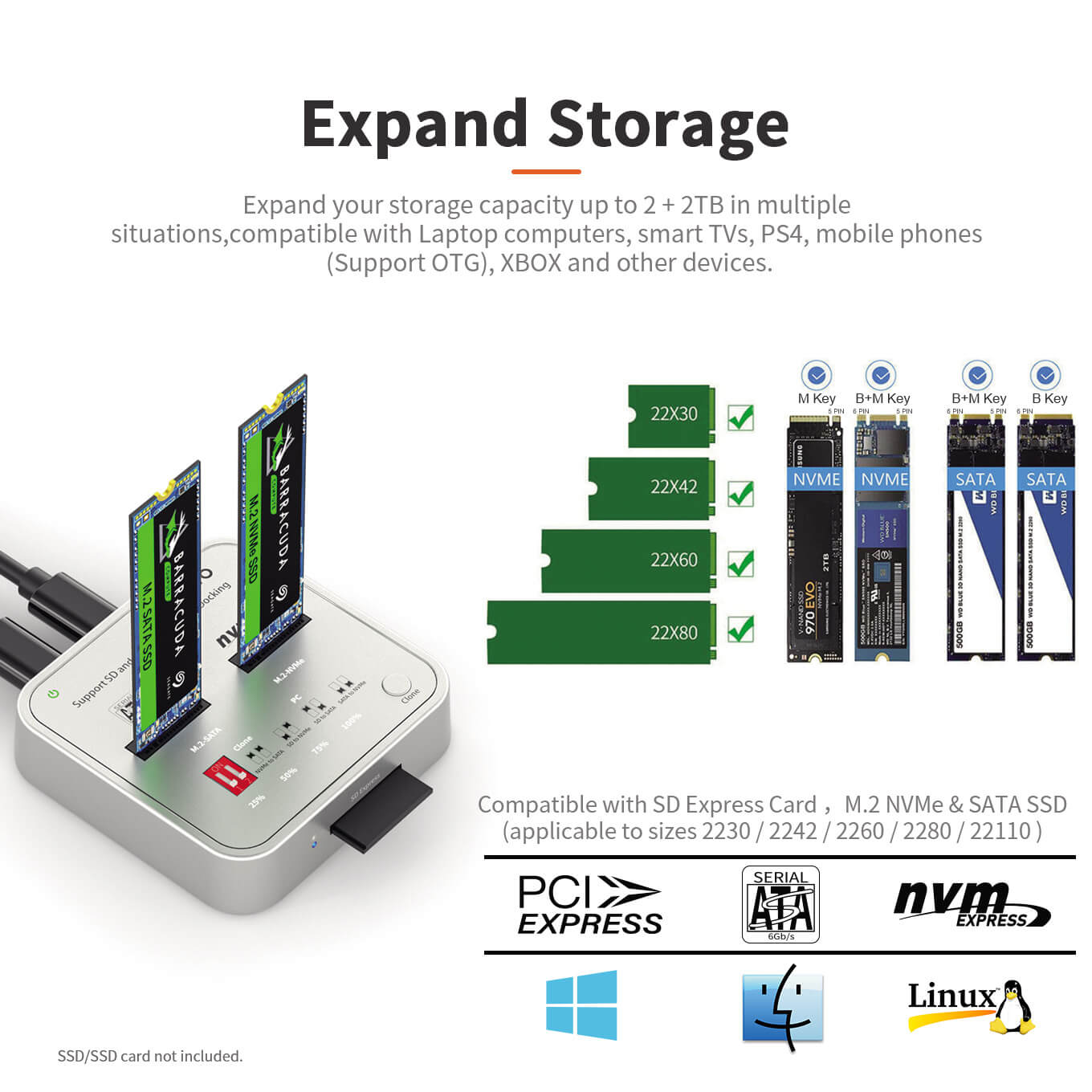 M.2 NVMe SATA Duplicator 2 Bay – תמונה 3